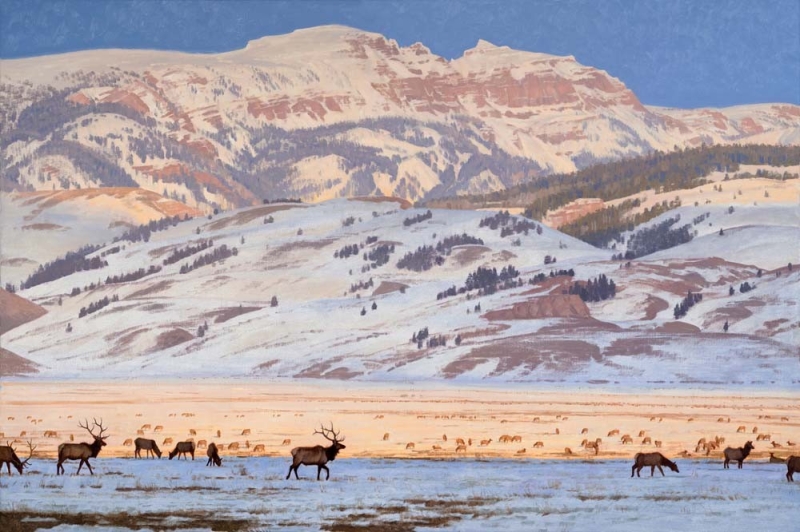 Jay Moore :: Astoria Fine Art Gallery in Jackson Hole